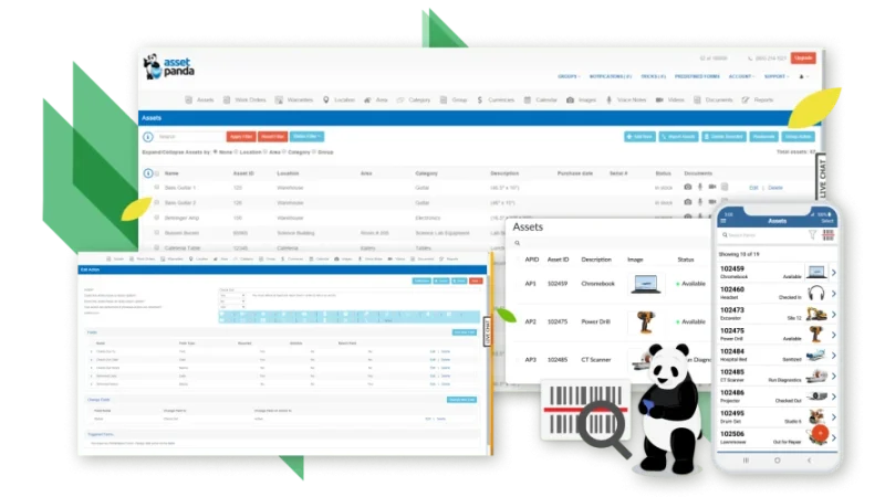 Asset-Panda-lower-image
